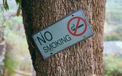 A CBD segít a dohányzásról való leszokásban?