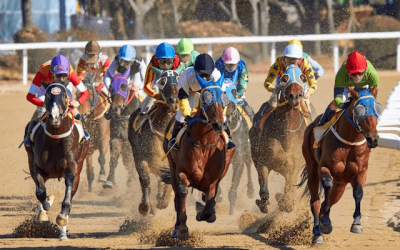 Lóverseny nélkül nincs sportfogadás, elmagyarázzuk miért